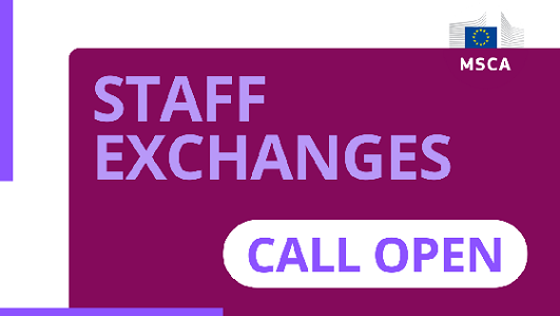 MSCA Staff 5560X300
